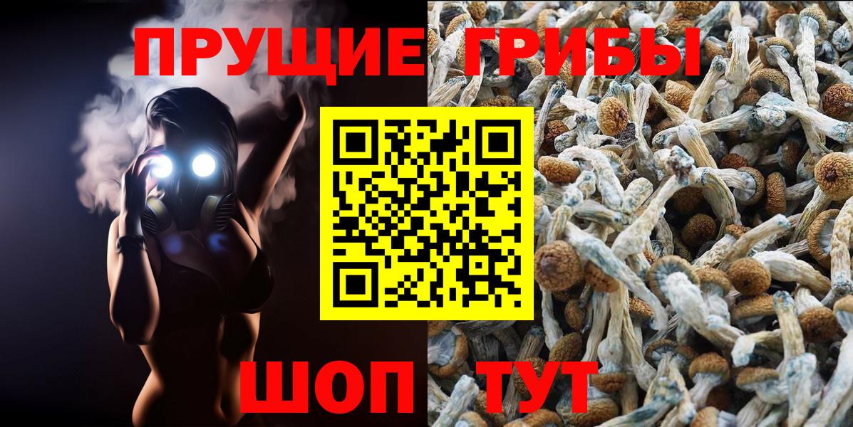 НБОМе Нефтекумск